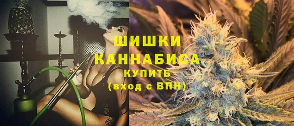 spice Аркадак