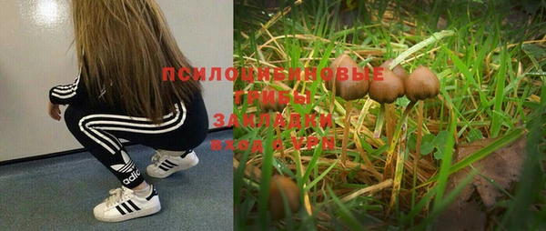 тгк Алексин