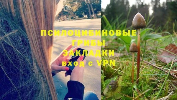 ГАЛЛЮЦИНОГЕННЫЕ ГРИБЫ Алзамай