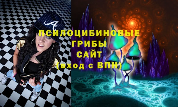 тгк Алексин